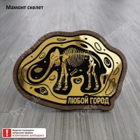 01 Мамонт скелет